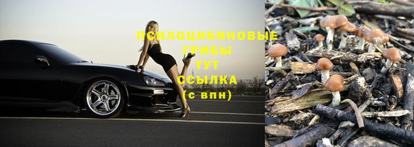 амф Абинск