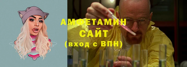 шишки Абаза