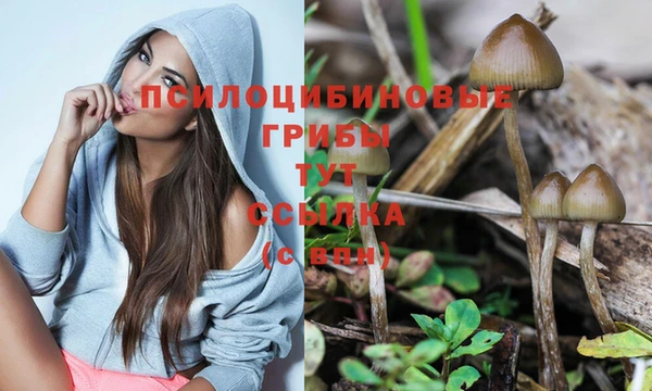 амф Абинск
