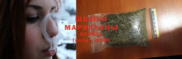 шишки Абаза