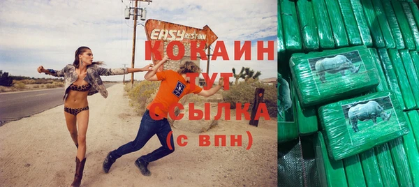 шишки Абаза
