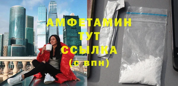 шишки Абаза