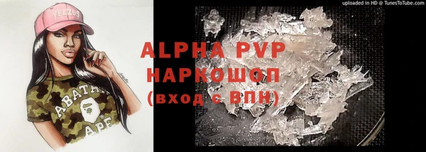 шишки Абаза