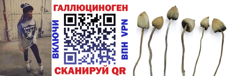 Галлюциногенные грибы Magic Shrooms Александров