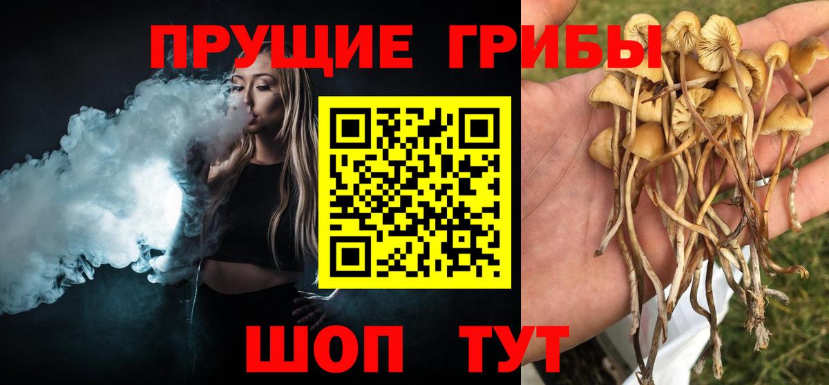 Галлюциногенные грибы Psilocybe  Вход с VPN  Галлюциногенные грибы GOLDEN TEACHER  купить наркоту  Александров 